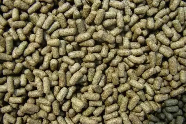 Shrimp Feed Pellet Machine