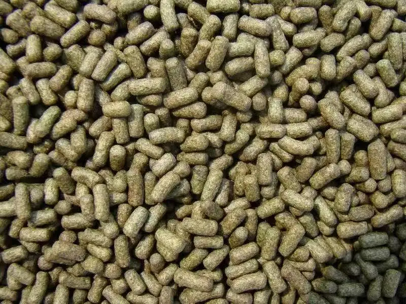 Shrimp Feed Pellet Machine